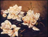 Gita Hazrati, Magnolia -  Oil on Linen 16x20