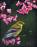 Gita Hazrati, Yellow Bird